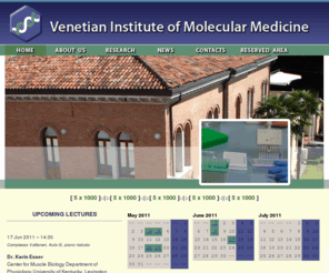 vimm.it: V I M M  .:|:.  homepage
Venetian Institute of Molecular Medicine