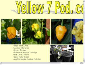 yellow7pod.com: yellow 7 pod / pot .com
sales of yellow 7 pod / pot seeds