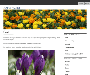 fotoiva.net: FOTOIVA.net
