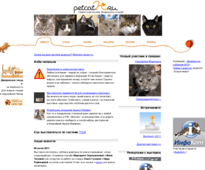 householdpet.ru: Householdpet.ru ||
		Светская жизнь домашних кошек
