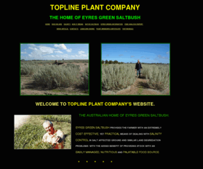 toplineplants.com: Topline Plant Company
The Australian home of Eyres Green Saltbush