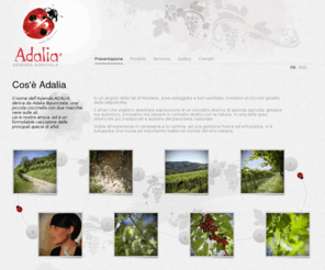 adaliavini.com: Adalia Vini | Azienda Agricola in Mezzane
Grazie all'esperienza in campagna e in cantina, ad una gestione fresca ed entusiasta, si è sviluppata una nuova ed importante realtà nel mondo del vino italiano.