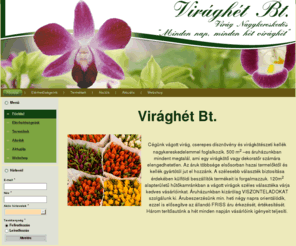 viraghet.hu: - VirágHét Bt. .: Minden hét virághét :. - Főoldal
VirágHét Bt. Nagykereskedelem, Dísznövény, Kertépítés, Parképítés, Különleges növények, Cserepezés