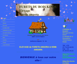 les-furets-du-bois-kinou.com: élevage de furets ANGORA - les-furets-du-bois-kinous jimdo page!
un élevage familliale, de furetS angora,nous efforçons de sélectionner les meilleurs reproducteurs, afin de faire naitre des furets sains,robustes,pour votre satisfactions.