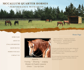 mccallumquarterhorses.com: Home Page
Home Page