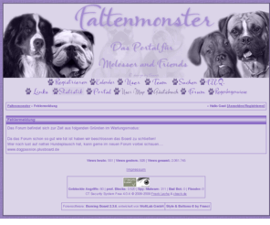 faltenmonster.com: Faltenmonster | Startseite
