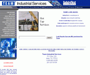 teamindustrialservices.com: 
