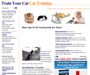 cat training