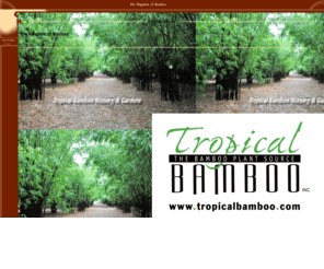 bambookingdom.com: Bamboo Kingdom
More than 150 different bamboo plant varieties in tropical display gardens.