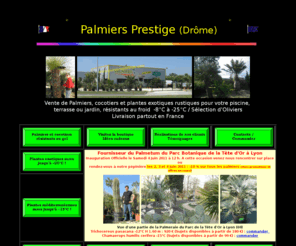 palmiersprestige.com: Palmiers Prestige - vente de palmiers et cocotiers d'extérieurs
Vente de palmiers rustiques, palmier d'extérieur, achat palmier nain, butia capitata, chamaerops, phoenix, palmier dattier, sabal, trachycarpus, idees cadeaux, deco, cadeaux, agaves, yuccas,cactus, plantes exotiques, oliviers, vente oliviers, palmiers de collection, bananier