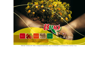 briospa.org: Brio Spa
Produzione e commercializzazione di prodotti da agricoltura biologica.