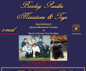 barclaypoodles.com: Barclay Miniature and Toy Poodles Located in Pennsylvania  Puppies For Sale
Barclay Miniature and Toy Poodles Breeder With AKC Poodle Puppies For Sale Champion Poodles