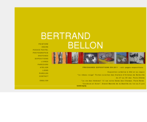 bertrandbellon.org: Bertrand Bellon
Bertrand Bellon travail artistique