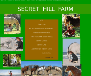 secrethillfarm.com: index

