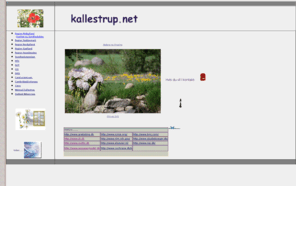 kallestrup.net: www.kallestrup.net
