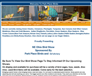 parkplacebirds.com: Park Place Birds your home for Macaws, Conures,Sun Conures, Indian RingNecks, Quaker Parrots. Hand Fed Baby Parrots
We are currently raising a variety of parrots, Green Cheeks, Macaws, Sun Conures, Indian RingNecks, Pineapple Cinnamon Conures, Parrotlets and Quakers.  Also check out our page on our Sugar Gliders,conveniently located in northeast ohio