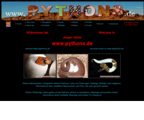 eureptiles.com: Pythons.de
Pythons.de, jhpythons, Schlangen, Zucht, Jürgen Hölzel, Eppelheim, piebald, aspidites, morelia, antaresia, liasis, anchitae, offspring, Nachzucht, albino, calico, verkauf, abzugeben, bredli, cheynei, regius, spilota, woma, chondro