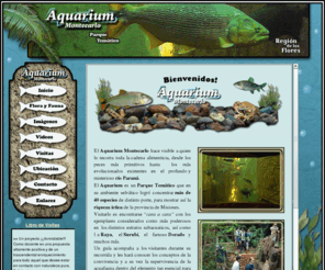 aquariummontecarlo.com: aquariummontecarlo
El Aquarium Montecarlo quiere lograr que a travs de esta experiencia, cada visitante, que sea adulto, joven, extrao o nativo, se lleve el conocimiento