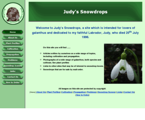 judyssnowdrops.co.uk: Judy's Snowdrops - Home
Judy's Snowdrops - Collector's snowdrops for sale by mail order. Includes a comprehensive collection of photographs of rare snowdrops, or galanthus.