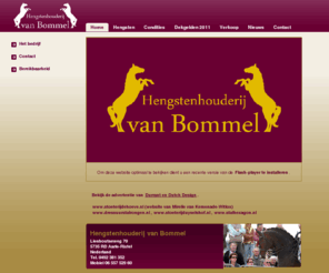 vbommel.com: Hengstenhouderij van Bommel - Website
description