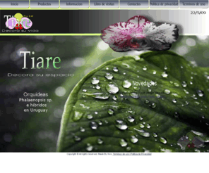 tiaresite.com: Tiaresite
Orquideas,orchids,phalaenopsis,