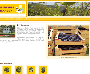 pepinieres-blancon.com: Pépinières Blancon. Producteur de figuiers
vente en ligne par correspondance varietes aoc, livraison : violette de sollies, boule d or, argenteuil, grise de saint jean, pastiliere