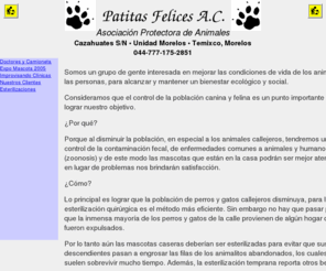 patitas-felices.org: Patitas-Felices - Esterilización en Morelos
Esterilizaciones a bajísimos precios en Cuernavaca, Morelos y sus alrededores