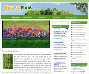 howtoplant.net: How To Plant
The ultimate database of planting guides and tutorials.