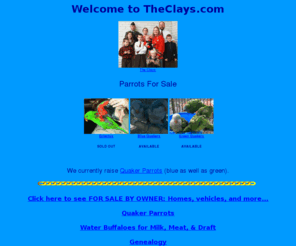 theclays.com: TheClays.com | Parrots, Water Buffalo, Web Hosting, Genealogy
TheClays.com | Parrots, Water Buffalo, Web Hosting, Genealogy