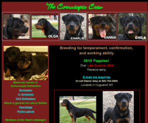 cornucopia-rottweilers.com: Cornucopia Rottweilers -
