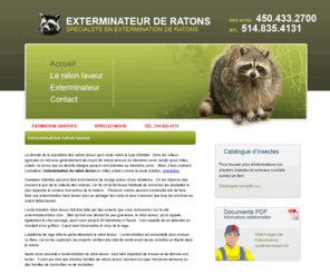 exterminateurraton.com: L’extermination raton laveur doit être faite par des experts.
L’épidémie de rage affecte particulièrement le raton laveur.  L’extermination est essentielle pour enrayer ce fléau.