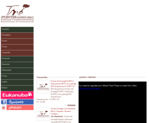 pointerturkey.org: Pointer | Türkiye Pointer Club
