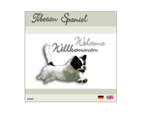 tibetan-spaniel-dog.com: Tibetan Spaniel :: Tibet Spaniel
Der Tibet Spaniel Rüde Sippans Party Yack In White Tuxedo aus  Schweden stellt  sich auf seiner Homepage vor.