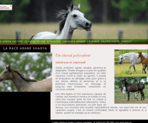 arabe-shagya.com: ARABE-SHAGYA HISTOIRE - Le Haras de Cré - Spécialiste du Arabe Shagya
L'Arabe Shagya est un cheval à l'endurance, la rapidité et la docilité reconnues.