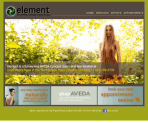 elementofdublin.com: Element Salon & Spa - Dublin, OH
Element Salon, located in Dublin OH is a full service AVEDA Concept Salon & Spa.