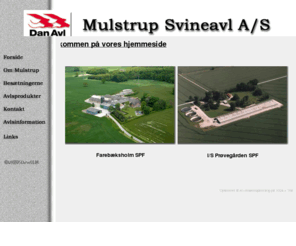 mulstrup.com: Mulstrup Svineavl A/S
