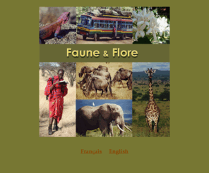 faune-flore.com: Faune & Flore - Welcome
Safari Tanzania « à la carte»