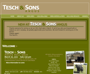 teschandsonsangus.com: Tesch & Sons Angus :: WELCOME!
