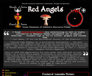 somashamans.com: Red Angels: Secrets of Soma - Amanita Muscaria Mushroom Preparation.
Soma clan dedicated to the religious and sacramental use of the mystical mushroom, Amanita muscaria.