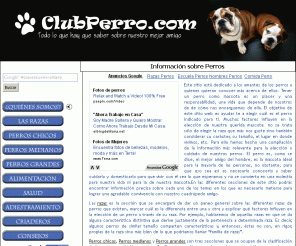 INFORMASION SOBRE LOS PERROS informasion sobre los perros: