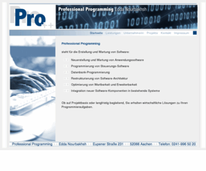 professional-programming.org: Professional-Programming
Professional-Programming