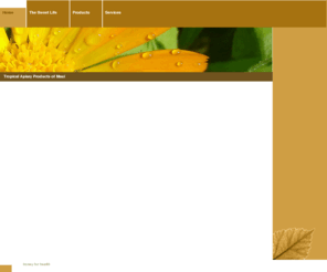 tropicalapiary.com: Home - A WebsiteBuilder Website
A WebsiteBuilder Website