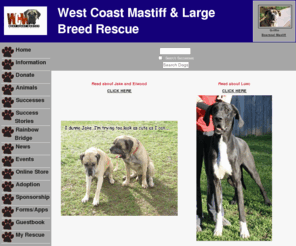 wcmastiffrescue.com: Welcome to West Coast Mastiff & Large Breed Rescue
Welcome to West Coast Mastiff & Large Breed Rescue