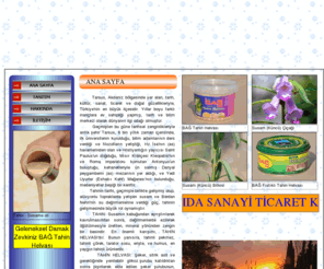 baghelva.com: BAĞ GIDA SANAYİ
ANA SAYFA