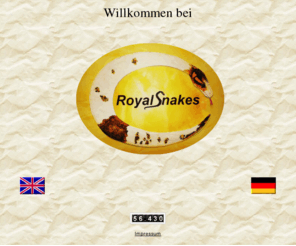 royalsnakes.de: royalsnakes
Schlangenzucht