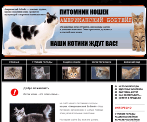 noiseweb.org: Питомник кошек "Американский бобтейл". Все о породе бобтейл
Развитие породы кошек 