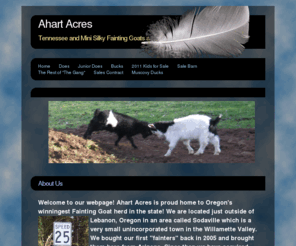 ahartacres.com: Home - Ahart Acres
Ahart Acres Tennessee Fainting Goats, located in Lebanon, Oregon. View our breeding stock and check our Sale Barn to see our fainting goats and ducks for sale.