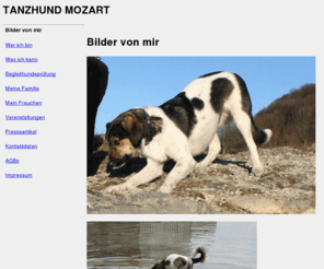 tanzhund.de: Tanzhund Mozart
Dies ist die Internetseite des Tanzhundes Mozart; Dog Dancing mit Mozart; Diest ist die Internetseite des Tanzhundes Mozart; Dog Dancing mit Mozart