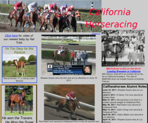 calracehorses.com: California Racehorses
The site features well-bred California-bred racehorses.