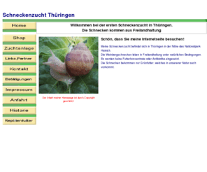 schneckenzucht.info: Schneckenzucht,Reptilienfutter,Futterschnecken
Schneckenzucht,Futterschnecken,Reptilienfutter,Schneckenfarm,Helix Pomatia, Schneckenzuchtbetrieb,  Schneckenshop, Schnecken-Zucht, Schnecken-Farm, Schneckenzucht-Thueringen, Schnecken-Topf,  Schnecken in Weissswein, 